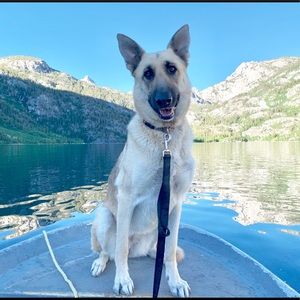 A little about me...